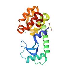 3D structure of 102L: How amino-acid insertions are allowed in an alpha-helix of T4 lysozyme (MolNFT v2 / PDB Bank)