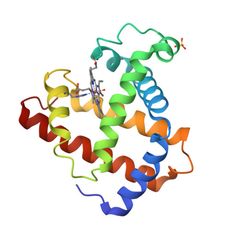 3D structure of 1MLS: Structural and functional effects of apolar mutations of val68(e11) in myoglobin (MolNFT v2 / PDB Bank)